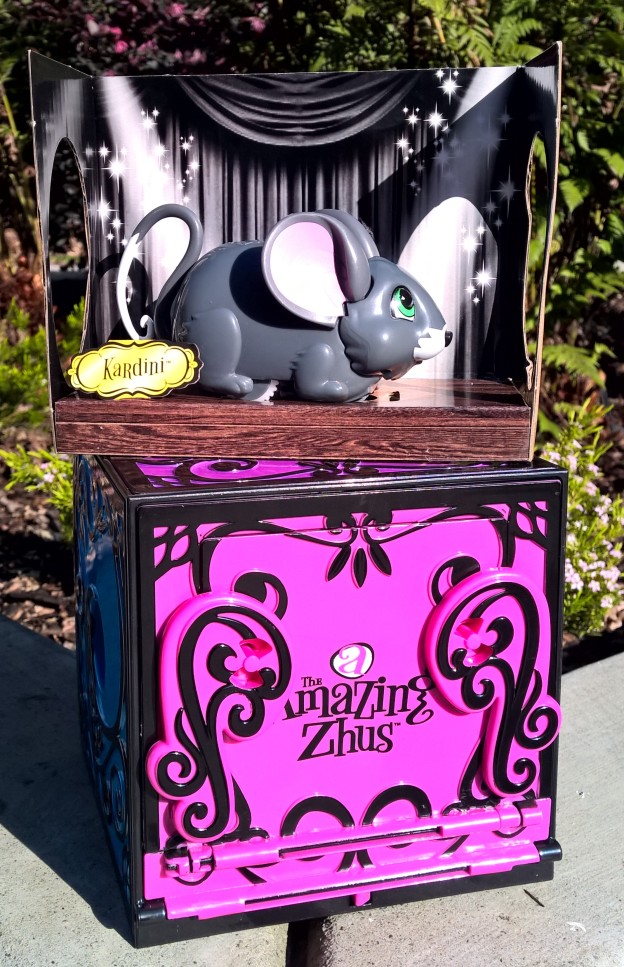 the amazing zhus magic box