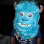 sully mask