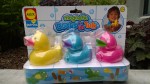 magnetic ducks