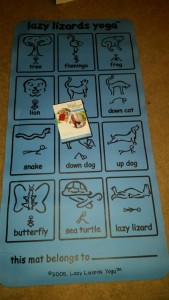 lazy lizards yoga mat and dvd