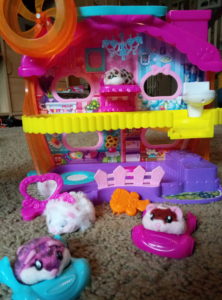 hamsters in a house